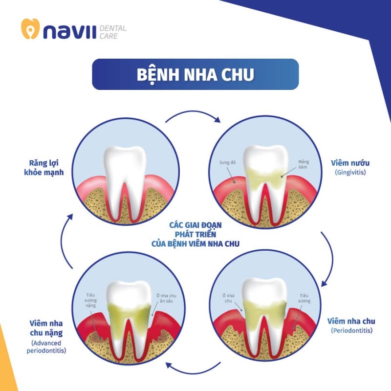 Navii Dental Care